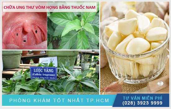 3 Bài thuốc chữa ung thư vòm họng bằng thuốc nam 3-cach-chua-ung-thu-vom-hong-bang-thuoc-nam-de-thuc-hien-tai-nha1