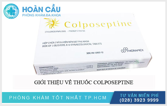 Giới thiệu về thuốc Colposeptine