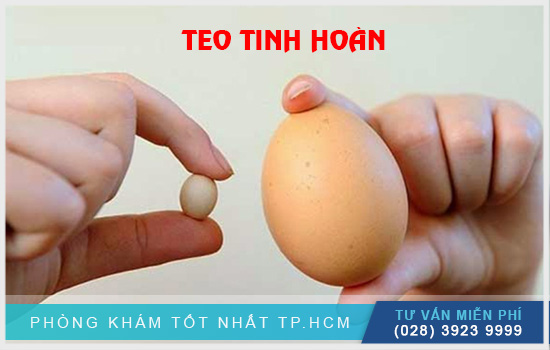 [Image: TEO-TINH-HOAN-2.jpg]