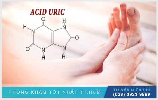 Acid uric có trong thực phẩm nào mà người bệnh gout nên kiêng? [TPHCM - Bình Dương - Đồng Nai - Long An - Tiền Giang]