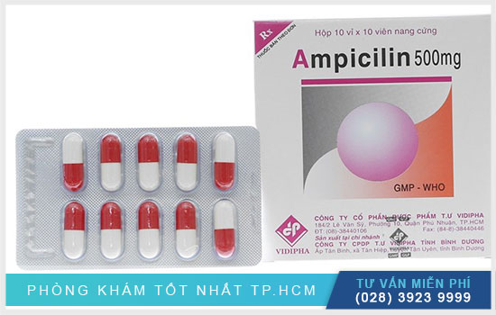 Ampicillin 500Mg Vidipha – tác dụng thuốc và liều dùng chính xác