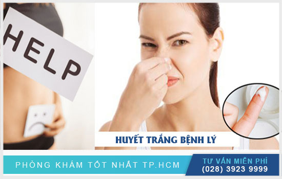Topics tagged under titanhealthy on Diễn đàn Tuổi trẻ Việt Nam | 2TVN Forum - Page 4 Benh-huyet-trang-la-gi-bieu-hien-nhu-the-nao-cach-dieu-tri