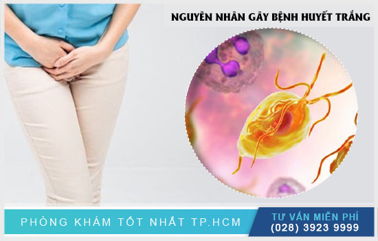 Topics tagged under titanhealthy on Diễn đàn Tuổi trẻ Việt Nam | 2TVN Forum - Page 4 Benh-huyet-trang-la-gi-bieu-hien-nhu-the-nao-cach-dieu-tri1