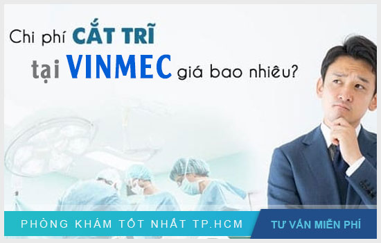 [TPHCM] Cắt trĩ tại bệnh viện Vinmec chi phí bao nhiêu?