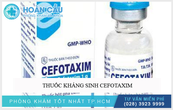 Thuốc kháng sinh Cefotaxim