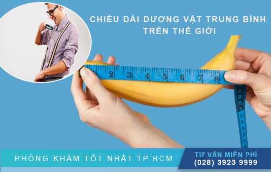 Chiều dài dương vật trung bình của người Việt Nam là bao nhiêu?