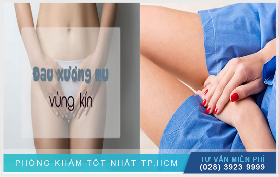 Đau xương mu vùng kín là bị gì và cần làm sao? [TPHCM - Bình Dương - Đồng Nai - Long An - Tiền Giang]