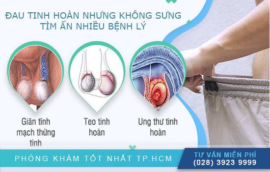 HCM - Đề phòng 10 bệnh lý NGUY HIỂM gây đau tức tinh hoàn nhưng không sưng De-phong-voi-10-benh-ly-gay-dau-tuc-tinh-hoan-nhung-khong-sung3