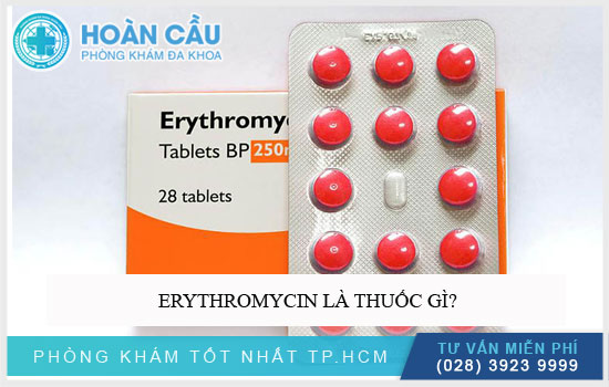 Erythromycin là thuốc gì?