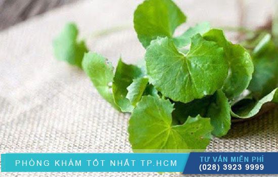 [TPHCM] Giải đáp thắc mắc: Uống rau má có phá thai được không?