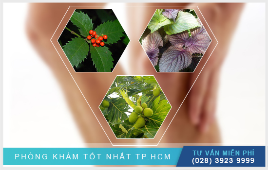 Học cách chữa bệnh gout bằng cây thuốc nam tại nhà [TPHCM - Bình Dương - Đồng Nai - Long An - Tiền Giang]