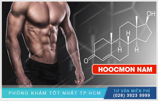 Hoocmon nam là gì? Tìm hiểu chức năng của Testosterone ở nam giới