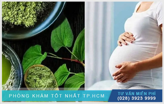 [TPHCM] Hướng dẫn chữa bệnh trĩ cho bà bầu bằng lá diếp cá an toàn