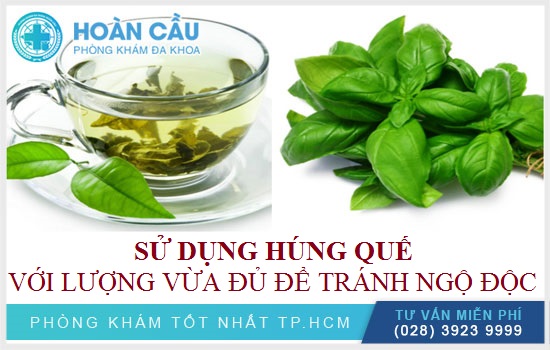 Sử dụng húng quế với một lượng vừa đủ để tránh tình trạng ngộ độc