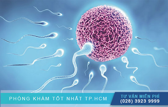 Làm gì để tránh có thai sau khi quan hệ nhanh nhất