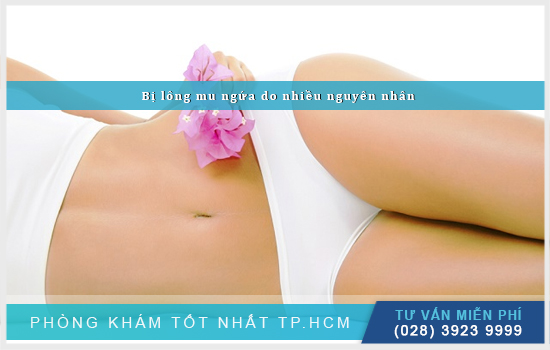Lông mu ngứa do nguyên nhân và cần làm gì khi bị? [TPHCM - Bình Dương - Đồng Nai - Long An - Tiền Giang]
