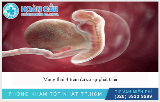 Mang thai 4 tuần: Thai phát triển như thế nào? Cơ thể người mẹ ra sao?