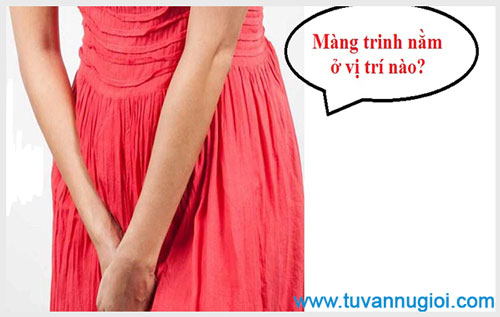 Màng trinh nằm ở vị trí nào