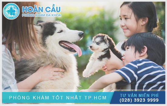 Lông thú cưng là nơi trú ẩn của các loại vi khuẩn