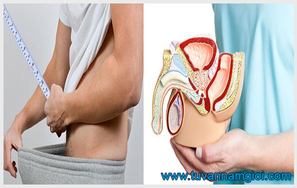 Cấy bi dương vật được đánh giá làm to dương vật nhanh chóng