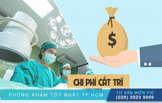 Phương pháp chữa trĩ ngoại HCPT Phuong-phap-chua-tri-ngoai-hcpt-hieu-qua-nhu-the-nao2