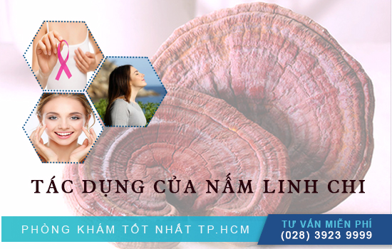 Topics tagged under dakhoahoancau on Diễn đàn Tuổi trẻ Việt Nam | 2TVN Forum - Page 6 Tac-dung-cua-nam-linh-chi