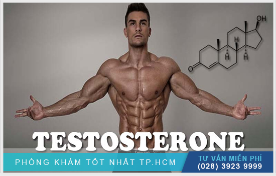 Testosterone và tình dục của nam giới có mối quan hệ gì? [TPHCM - Bình Dương - Đồng Nai - Long An - Tiền Giang]
