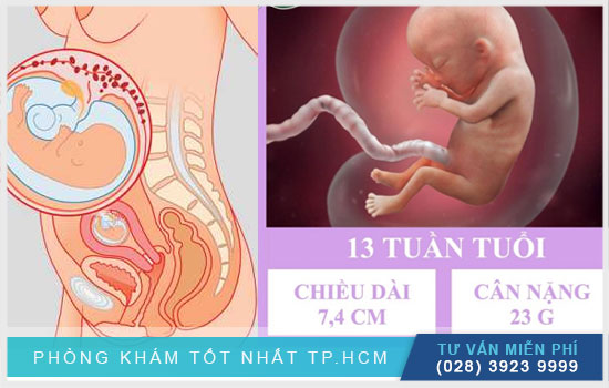 Thai 13 tuần tuổi thì mẹ và bé sẽ thay đổi như thế nào?