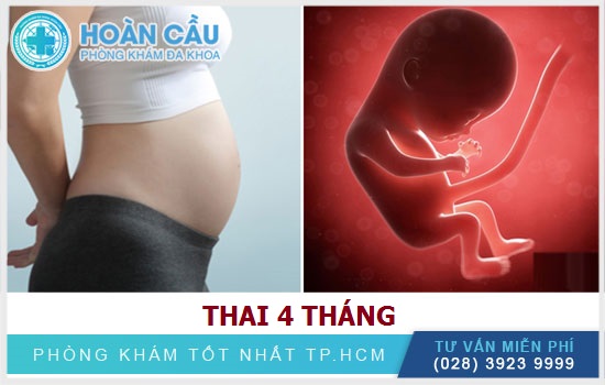 Thai 4 tháng – đặc điểm và sự phát triển của thai nhi