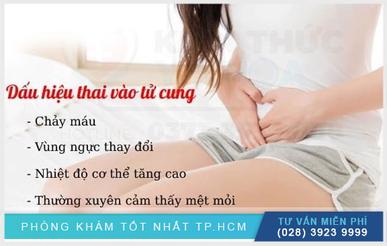 DẤU HIỆU NHẬN BIẾT THAI NHI ĐÃ VÀO TỬ CUNG