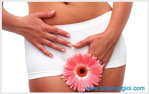 Thu hẹp âm đạo là gì và vì sao nên thu hẹp âm đạo ?