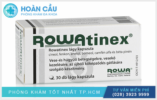 Rowatinex chính là loại thuốc có công dụng hỗ trợ điều trị cho bệnh nhân bị bệnh đường tiết niệu
