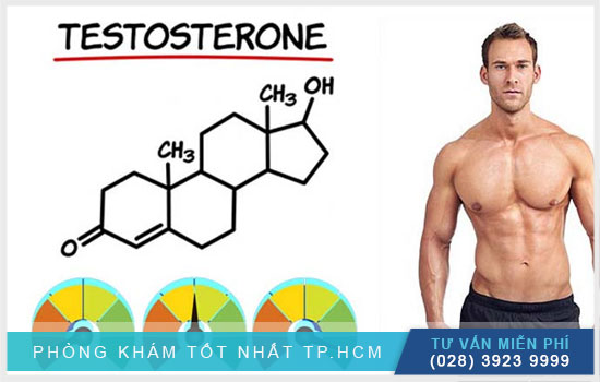 Sinh cách testosterone qua bằng đi chất nào màng [Sinh học