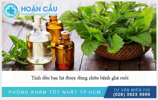 Tinh dầu bạc hà được dùng chữa ghẻ ruồi