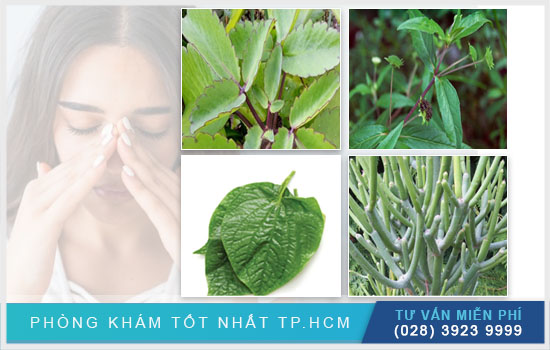 Top 4 loại cây thuốc xông trị viêm xoang tại nhà đơn giản [TPHCM - Bình Dương - Đồng Nai - Long An - Tiền Giang]