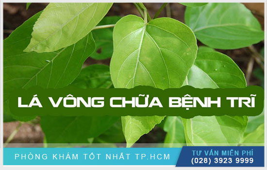 [TPHCM] Top 5 cách sử dụng lá vông chữa bệnh trĩ hiệu quả tại nhà