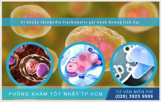 Vi khuẩn Chlamydia trachomatis là gì? Bệnh do vi khuẩn Chlamydia trachomatis gây ra là gì?