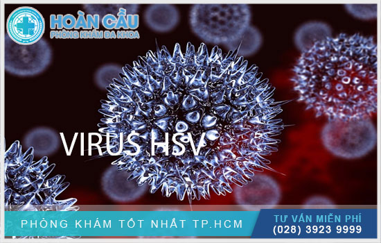 Virus HSV gây bệnh Herpes sinh dục