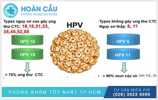 Xét nghiệm HPV được nhiều người quan tâm